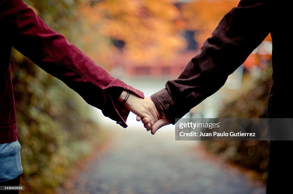 Couple holding hands