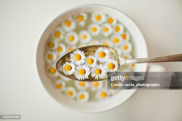 13 686点の水に浮かぶ 花のストックフォト Getty Images 13 686点の水に浮かぶ 花のストックフォト Getty Images