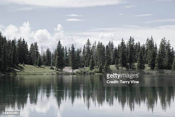 reflection of trees on alta lake, co - alta stock-fotos und bilder