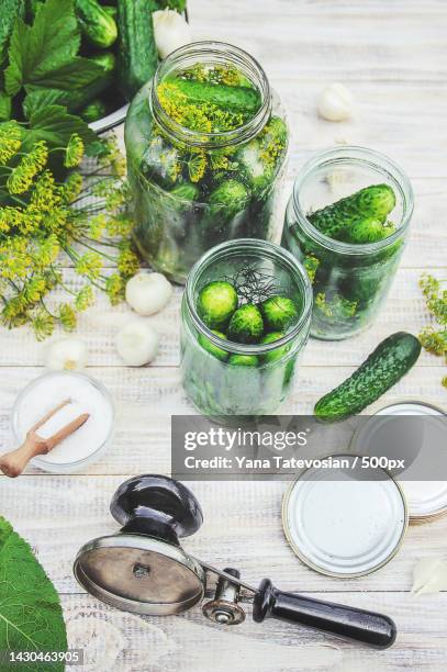 preservation of fresh house cucumbers selective focus - salmuera fotografías e imágenes de stock