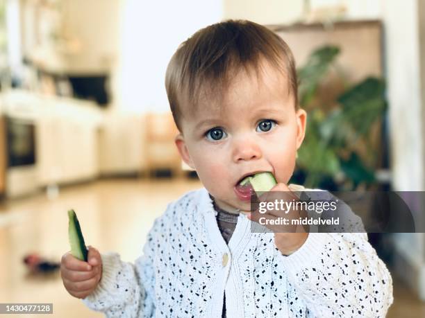 toddler girl eating  cucumber - baby eating vegetables stock pictures, royalty-free photos & images