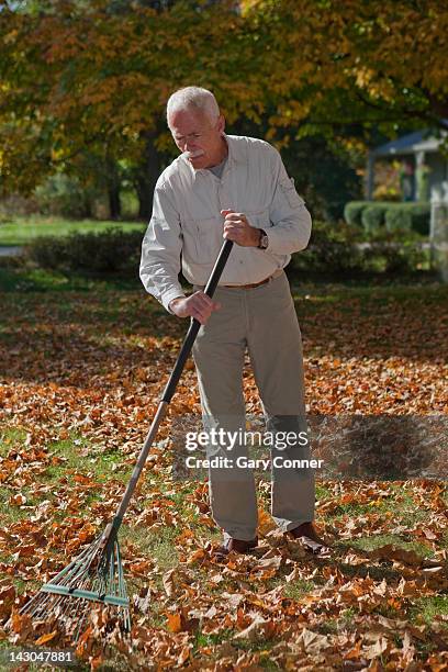 Gary Rakes 44 Gary Rake Stock Photos, High-Res Pictures, and Images - Getty Images