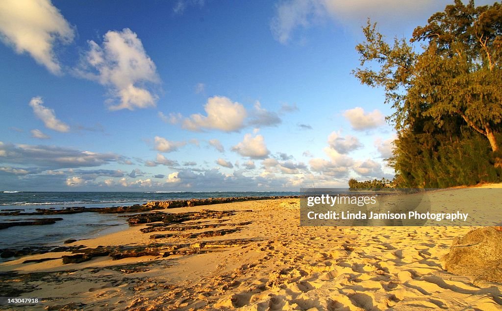 Beach at sunset