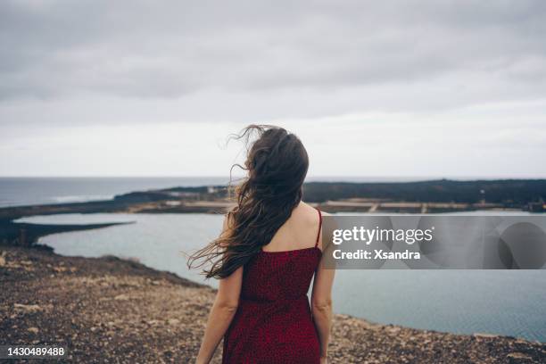 woman at the seaside on a windy cloudy day - brunette woman back stockfoto's en -beelden