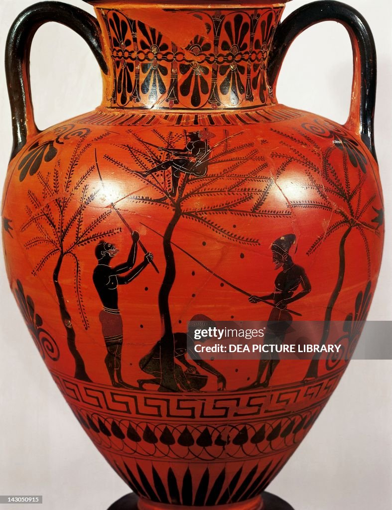 Amphora representing the olive harvest