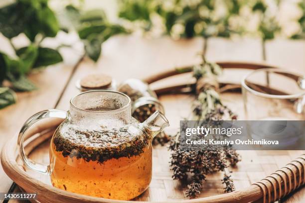 tea with lavender flowers. green tea. tea with lavender. tea in a glass teapot. - ハーブティー ストックフォトと画像