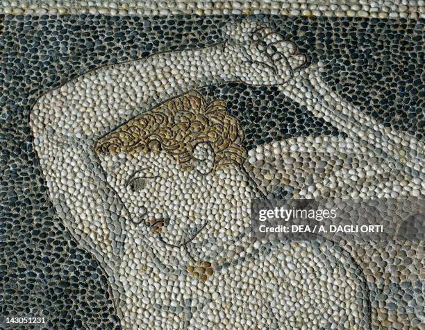 Alexander the Great and Hephaestion during a lion hunt, ca 320 BC, mosaic from the peristyle house 1 , Room C, Pella, Greece. Detail showing the head...