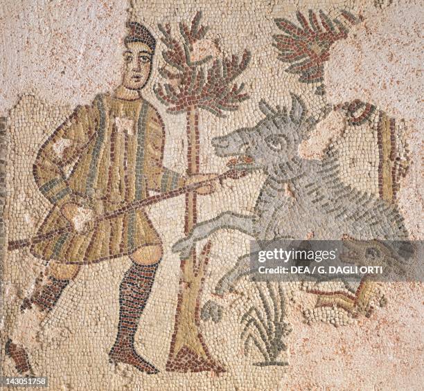 Mosaic depicting a scene of wild boar hunting, from Piazza Maria Immacolata in Taranto, Puglia. Roman Civilization, 4th Century. Taranto, Museo...