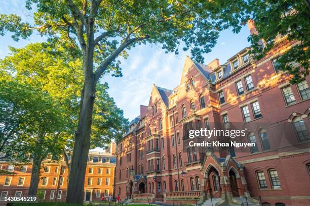 view of harvard university historic building in cambridge at massachusetts usa. - massachusetts imagens e fotografias de stock