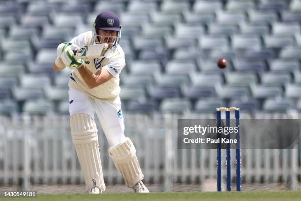 Daniel Hughes of New South Wales bats during the Sheffield Shield match between Western Australia and New South Wales at the WACA, on October 05 in...