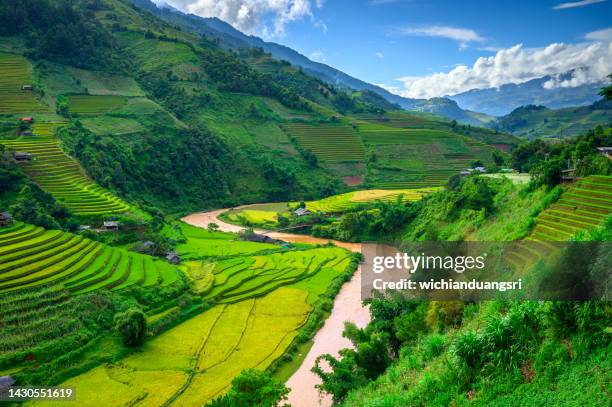 arroz campo terraplenado en mu cang chai, vietnam - sapa fotografías e imágenes de stock