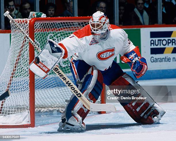 38 Andre Racicot Stock Photos, High-Res Pictures, and Images - Getty Images