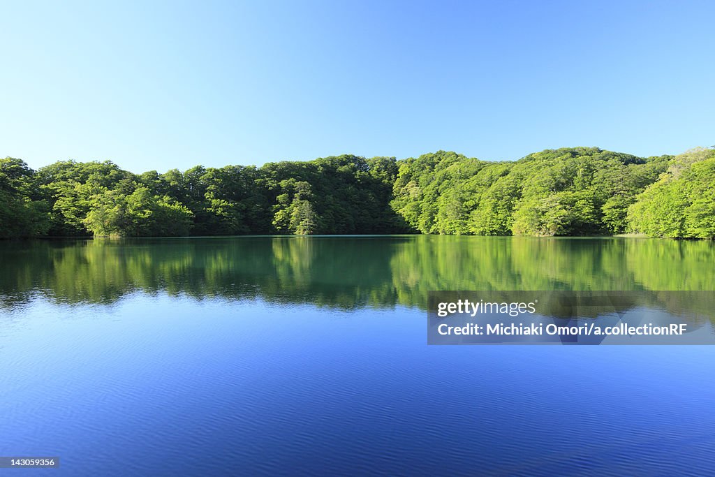 Juniko Lake, Tamaike