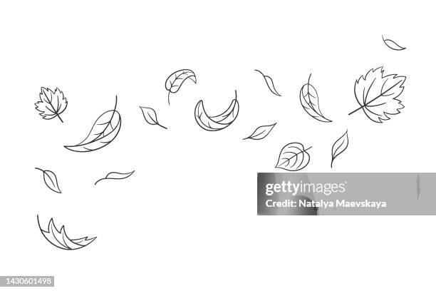 leaves fall set in doodle style, vector illustration. wave cold air during windy weather. maple leaf outline for print and design. isolated black element on white background. autumn symbol nature - drop down stock illustrations