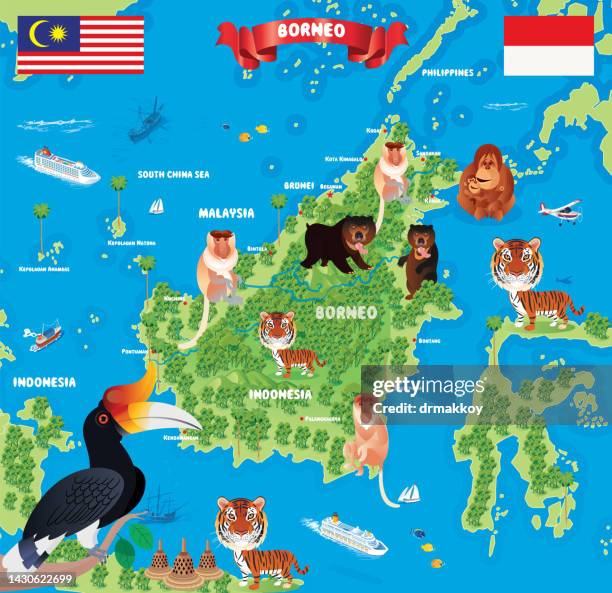 borneo island karte - kalimantan stock-grafiken, -clipart, -cartoons und -symbole