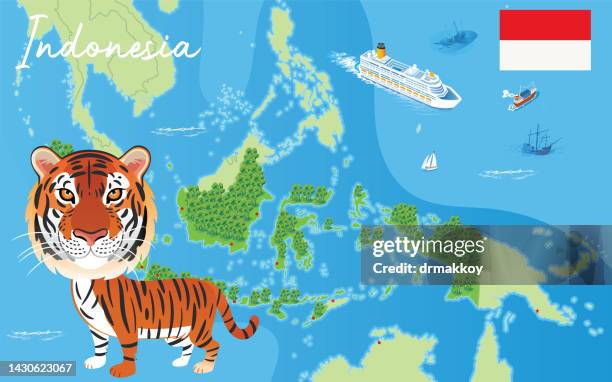 sumatra-tiger und borneo-tiger - kalimantan stock-grafiken, -clipart, -cartoons und -symbole