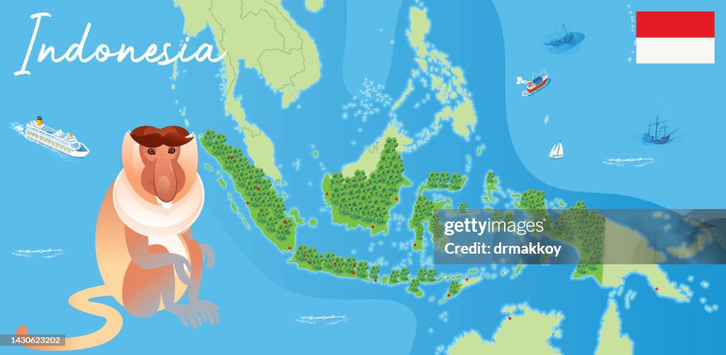 Proboscis monkey, (Nasalis larvatus)