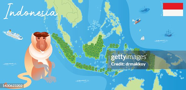 Proboscis monkey, (Nasalis larvatus) Proboscis monkey, (Nasalis larvatus)