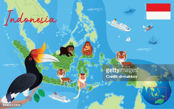 stockillustraties, clipart, cartoons en iconen met cartoon map of indonesia - kalimantan