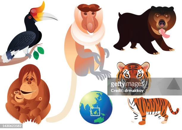 ilustrações, clipart, desenhos animados e ícones de animais da ilha bornéu - island of borneo