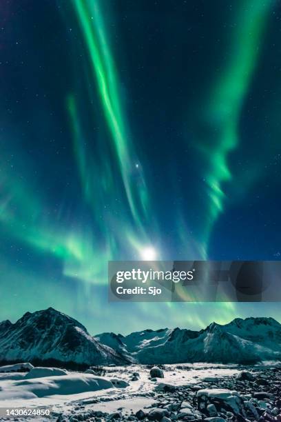 nordlichter oder aurora borealis am nachthimmel über nordnorwegen während einer kalten winternacht - aurora borealis lofoten stock-fotos und bilder