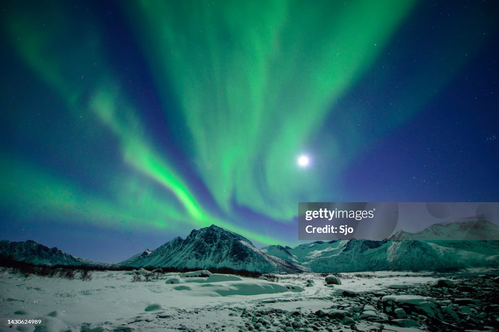Northern lights or Aurora Borealis in night sky over Northern Norway during a cold winter night