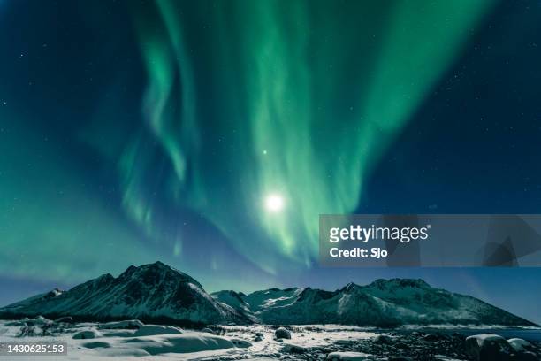 northern lights or aurora borealis in night sky over northern norway during a cold winter night - norte imagens e fotografias de stock