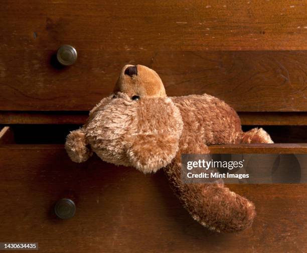 a children's brown soft toy teddy bear hanging out of a drawer - テディベア　無人 ストックフォトと画像