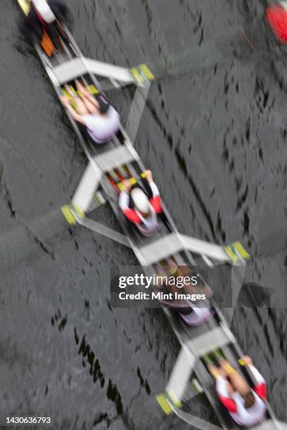 55 Sweep Rowing Crew Stock Photos, High-Res Pictures, and Images ...