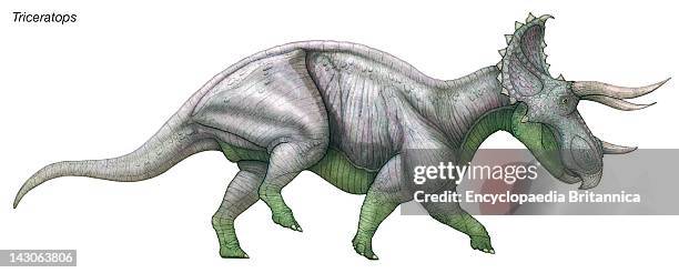 Late Cretaceous Epoch Photos and Premium High Res Pictures - Getty Images