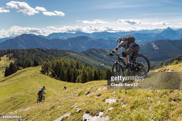 descenso en bicicleta de montaña en los pastos de carintia, austria. - mountain bike fotografías e imágenes de stock