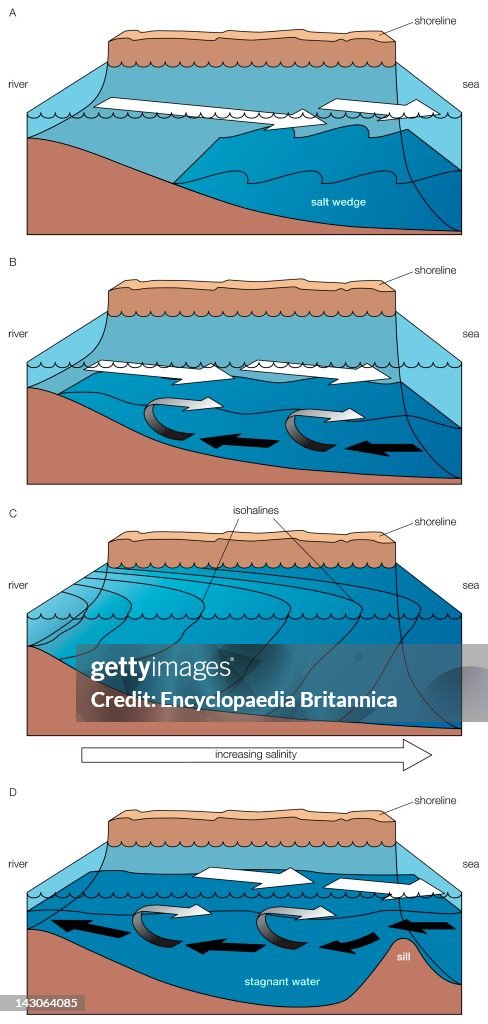 Estuary Function A) Salt Wedge Estuary, B) Partially Mixed Estuary, C) Vertically ...