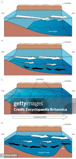 Estuary Simple Estuary Photos and Premium High Res Pictures - Getty Images