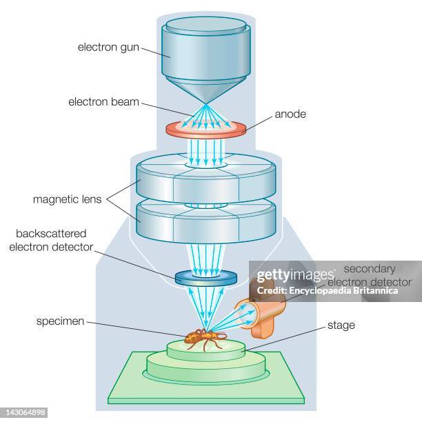The Components Of A Scanning Electron Microscope .