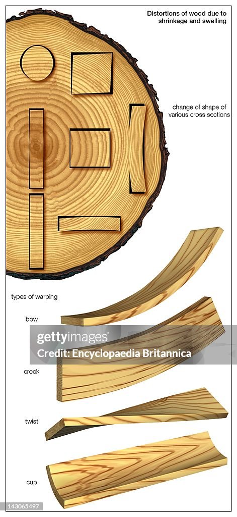 Timber Distortion Types Distortions Of Wood Due To Shrinkage And Swelling, At Left, Initial ...