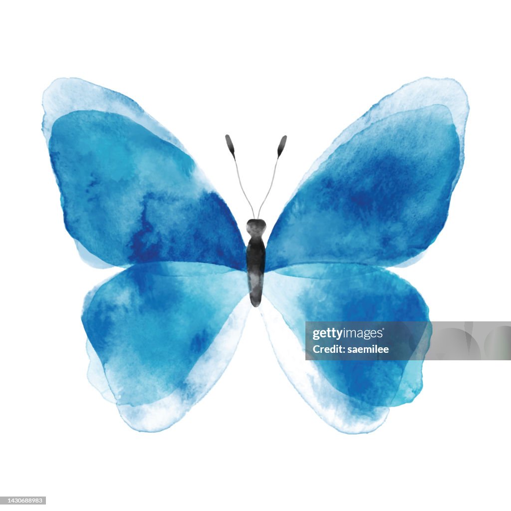 Acuarela Mariposa Azul