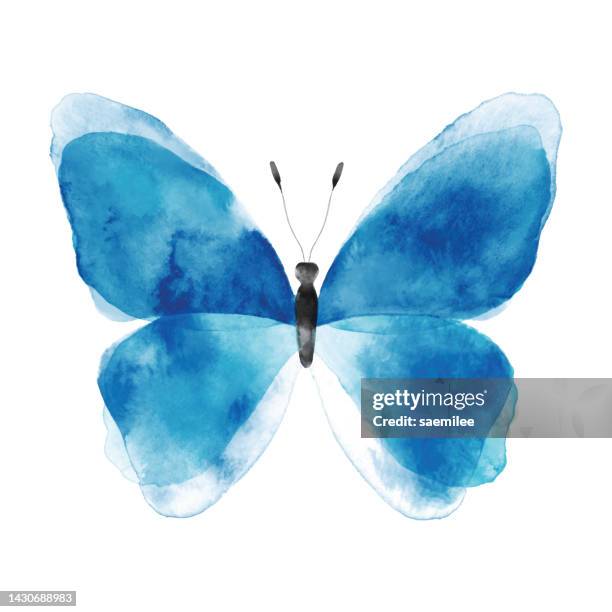 watercolor blue butterfly - butterfly wings drawing stock illustrations