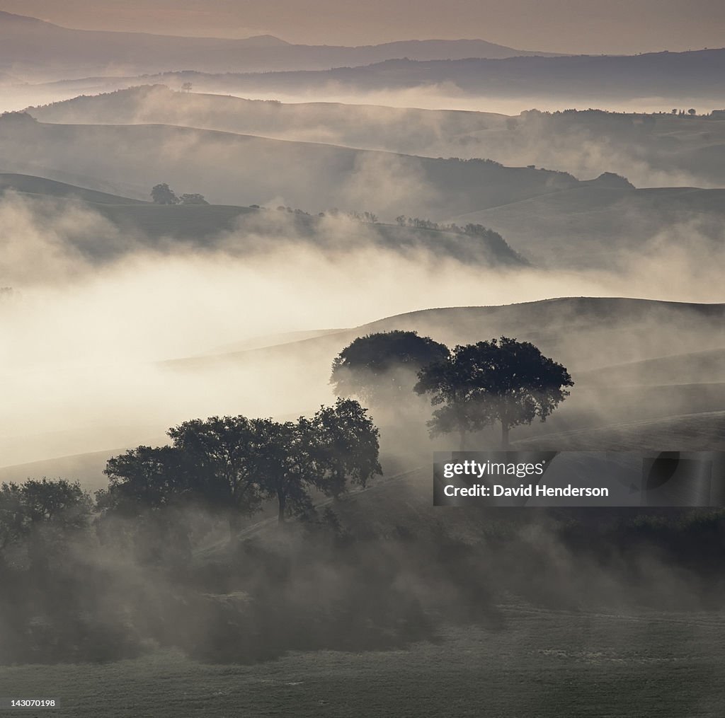 Rural landscape cloaked in fog