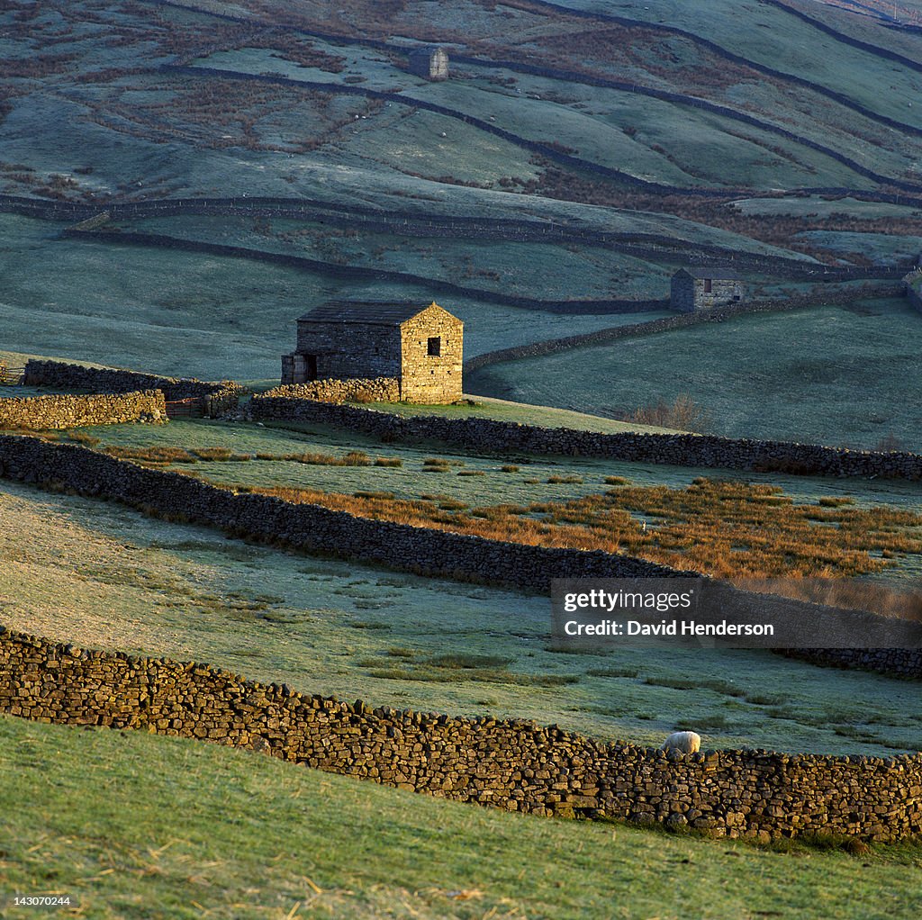 Stone house in rural landscape