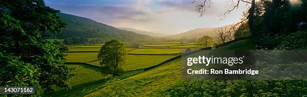 rolling hills and pastures in rural landscape - yorkshire fotografías e imágenes de stock