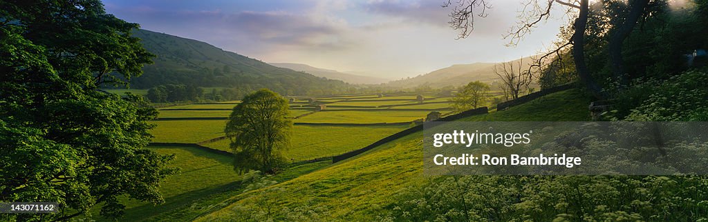 Rolling hills and pastures in rural landscape