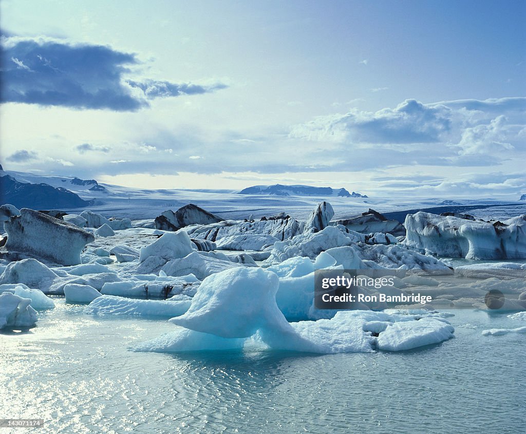 Glaciers floating on arctic water