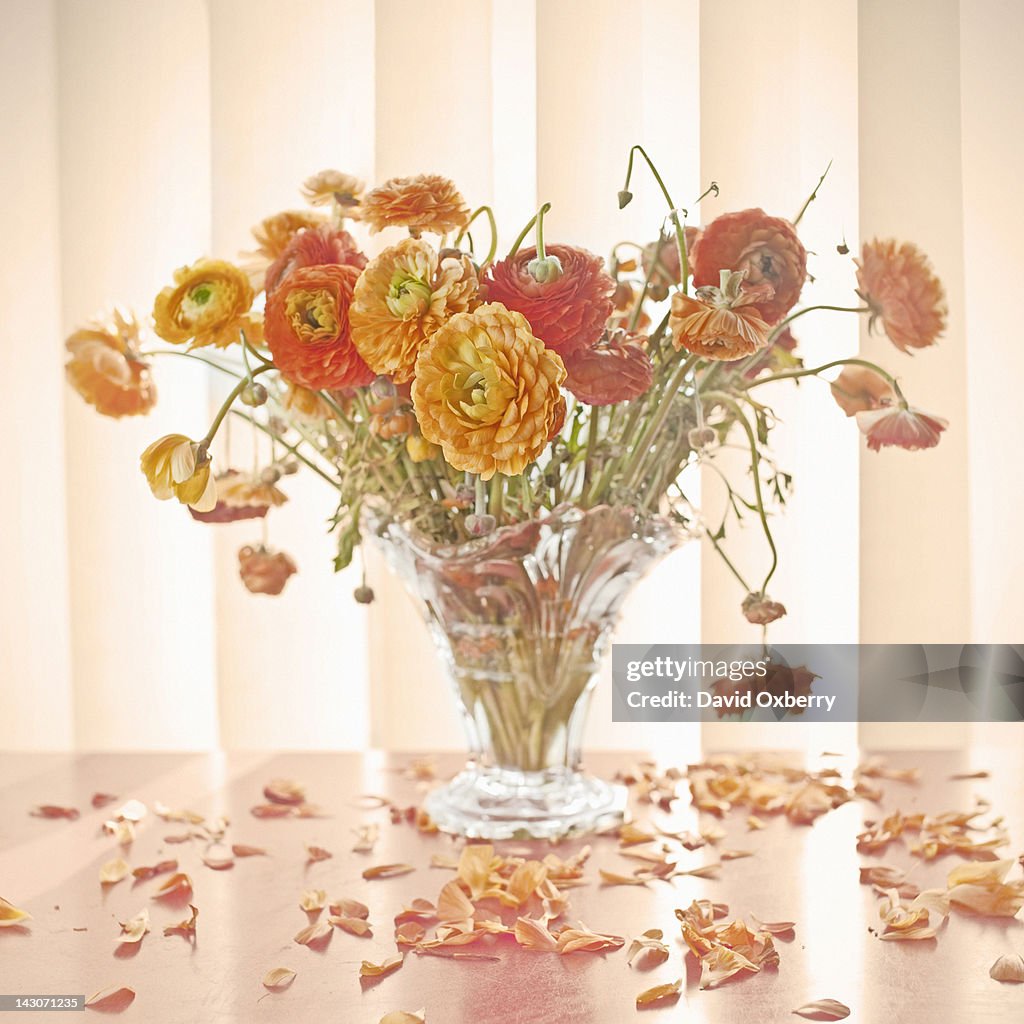 Vase of wilting flowers on table