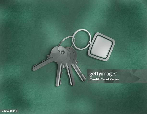 home keys  at home in green surface - computertoets stockfoto's en -beelden