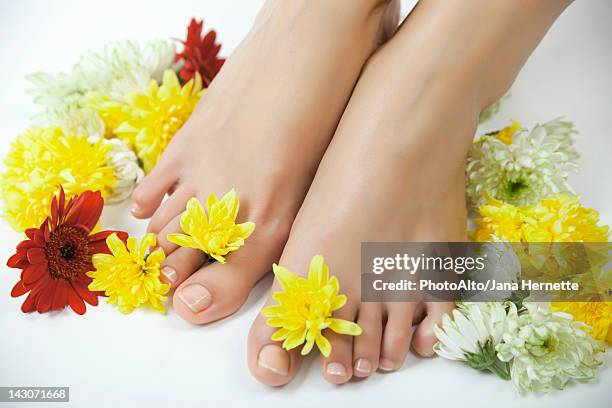 woman with flowers between her toes, cropped - womens pretty feet stock pictures, royalty-free photos & images