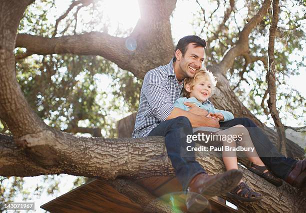 father and son hugging in tree - protection stock pictures, royalty-free photos & images