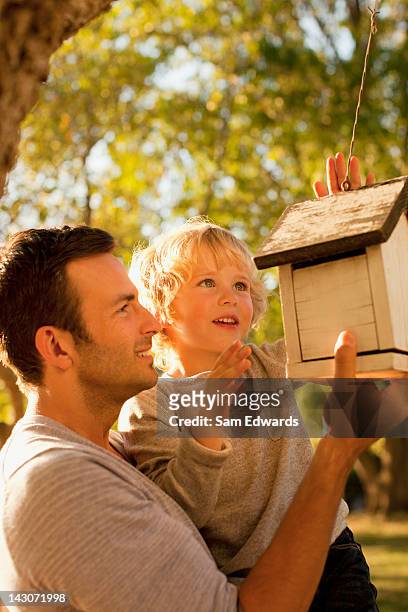 padre e figlio, esaminando casetta per gli uccelli - bird feeder foto e immagini stock