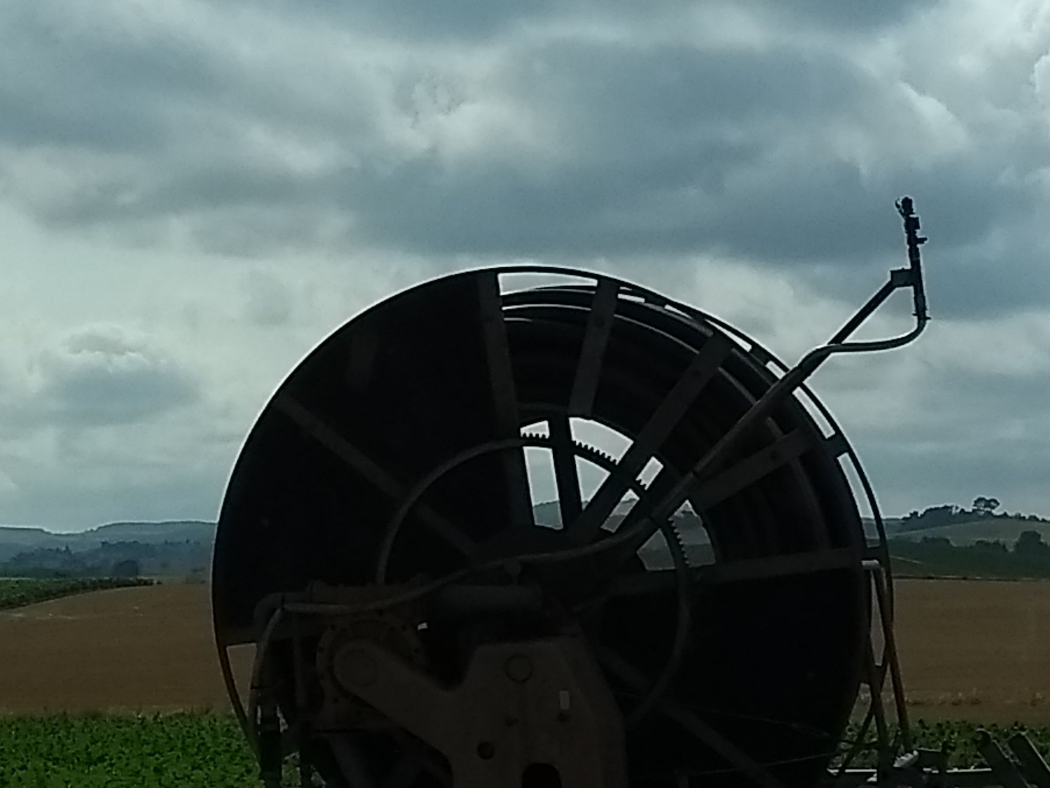 forrageira autopropelida