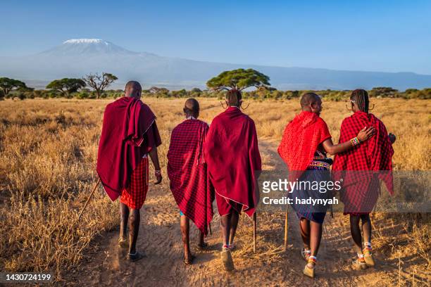 gruppe von maasai-kriegern zurück ins dorf, kenia, afrika - afrikanischer volksstamm stock-fotos und bilder