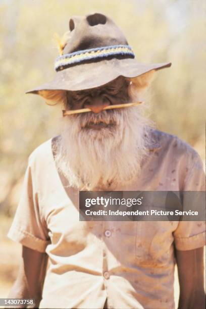 Portrait of an Aborigine man with white beard and bone through his nose, Australia.